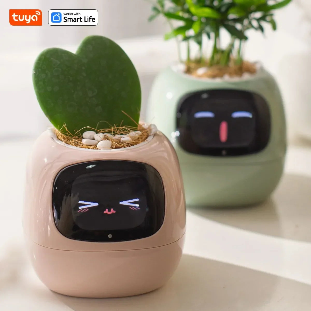 Smart Pet Planter