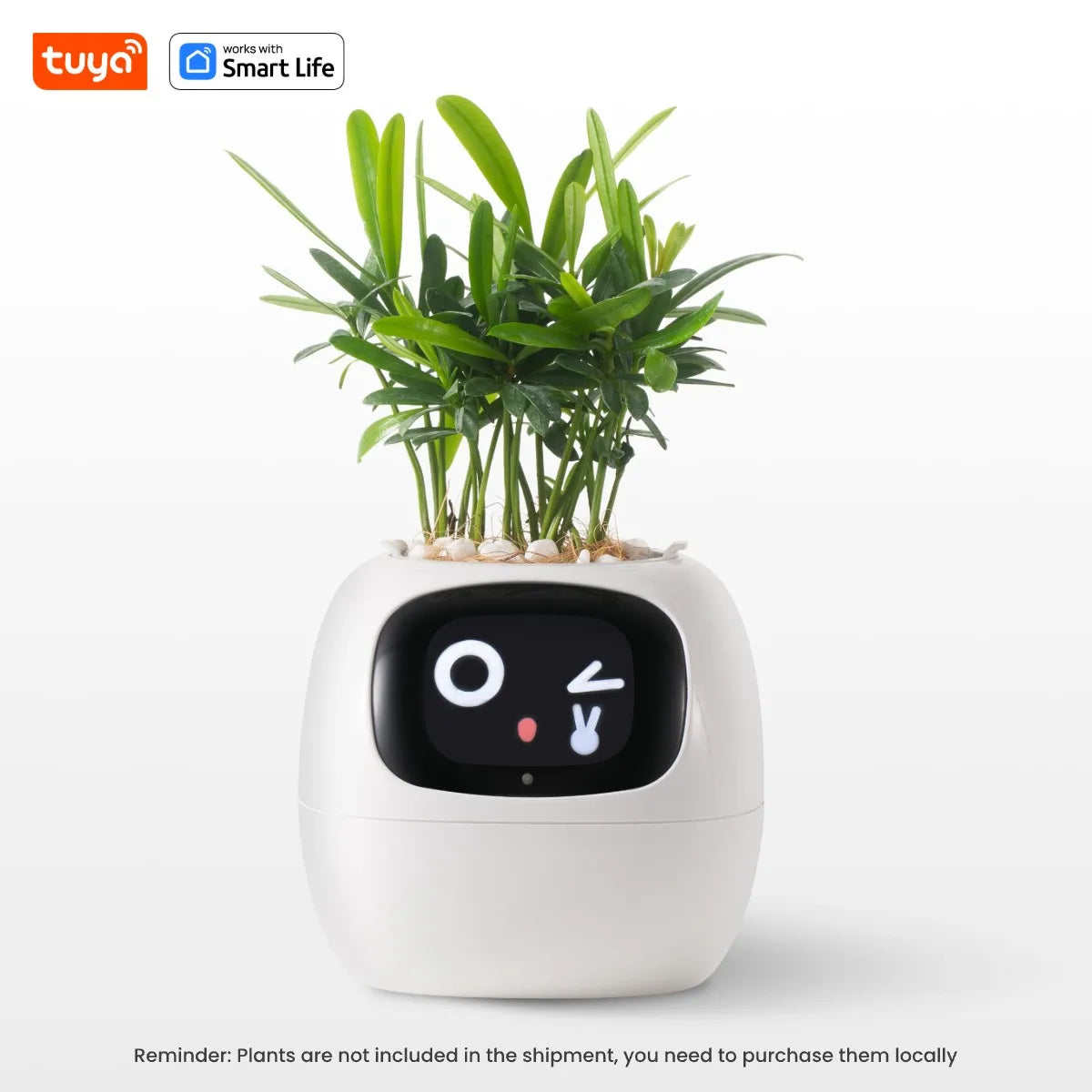 Smart Pet Planter
