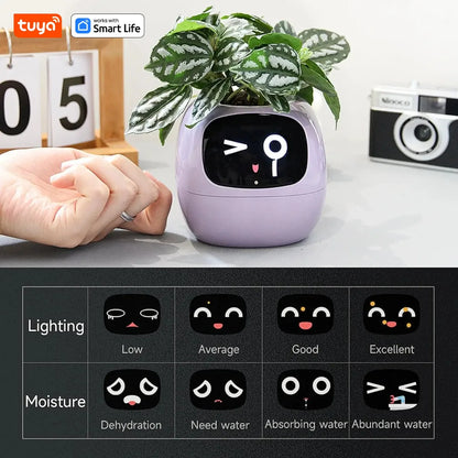 Smart Pet Planter