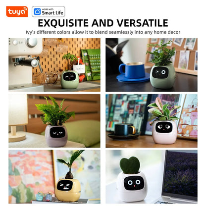 Smart Pet Planter