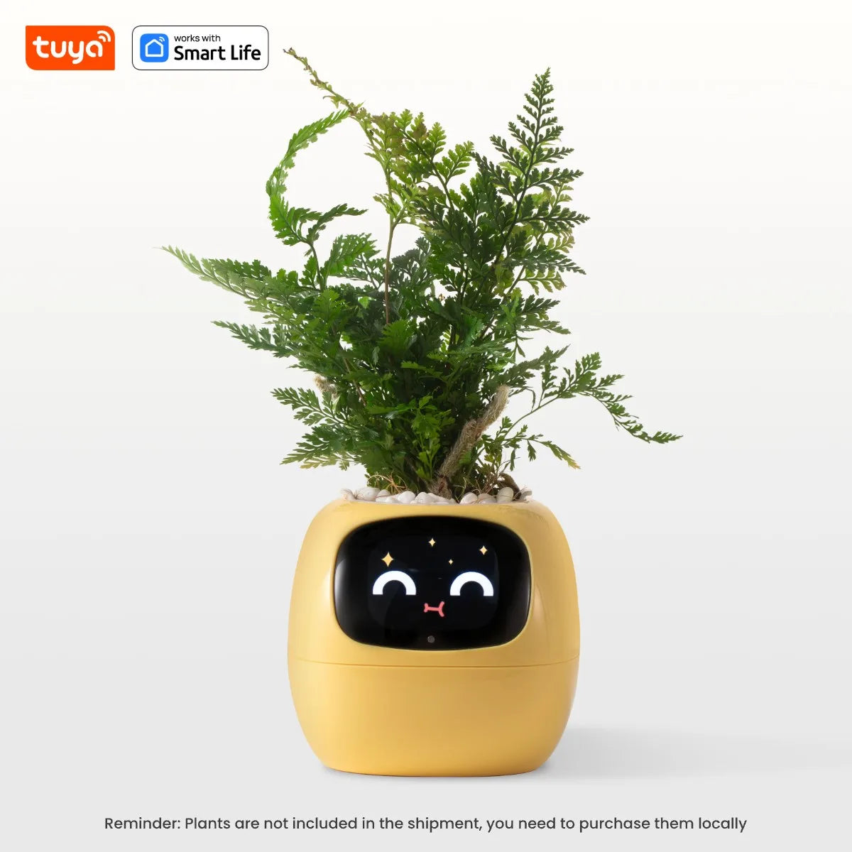 Smart Pet Planter