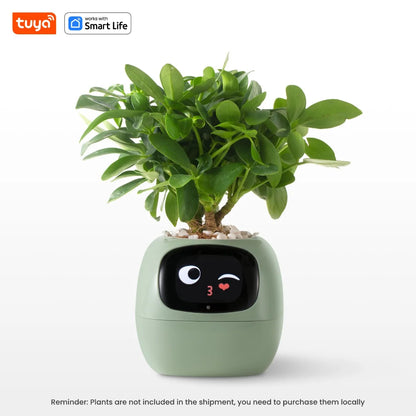 Smart Pet Planter