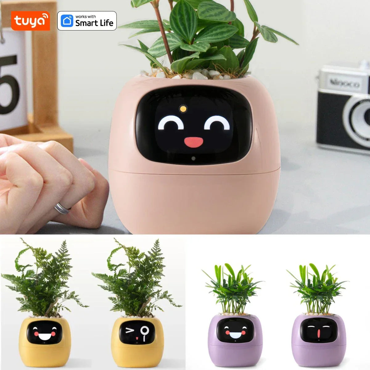 Smart Pet Planter