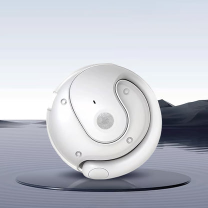 LinguaAir Real-Time Translation Earbuds